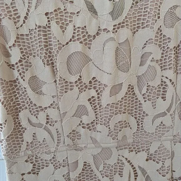 Sans Souci Dress Womens XL Floral Lace Sleeveless Blush Coquette Bohemian Dainty - Picture 4 of 10